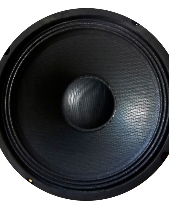 parlante-woofer-10-150w-hay-stock-xpro-pa10-D_NQ_NP_883448-MLA27677603201_072018-F