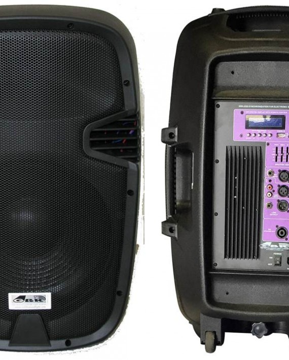 BAFLE-GBR-PL-1540-POWER-ECO-SERIES-TD